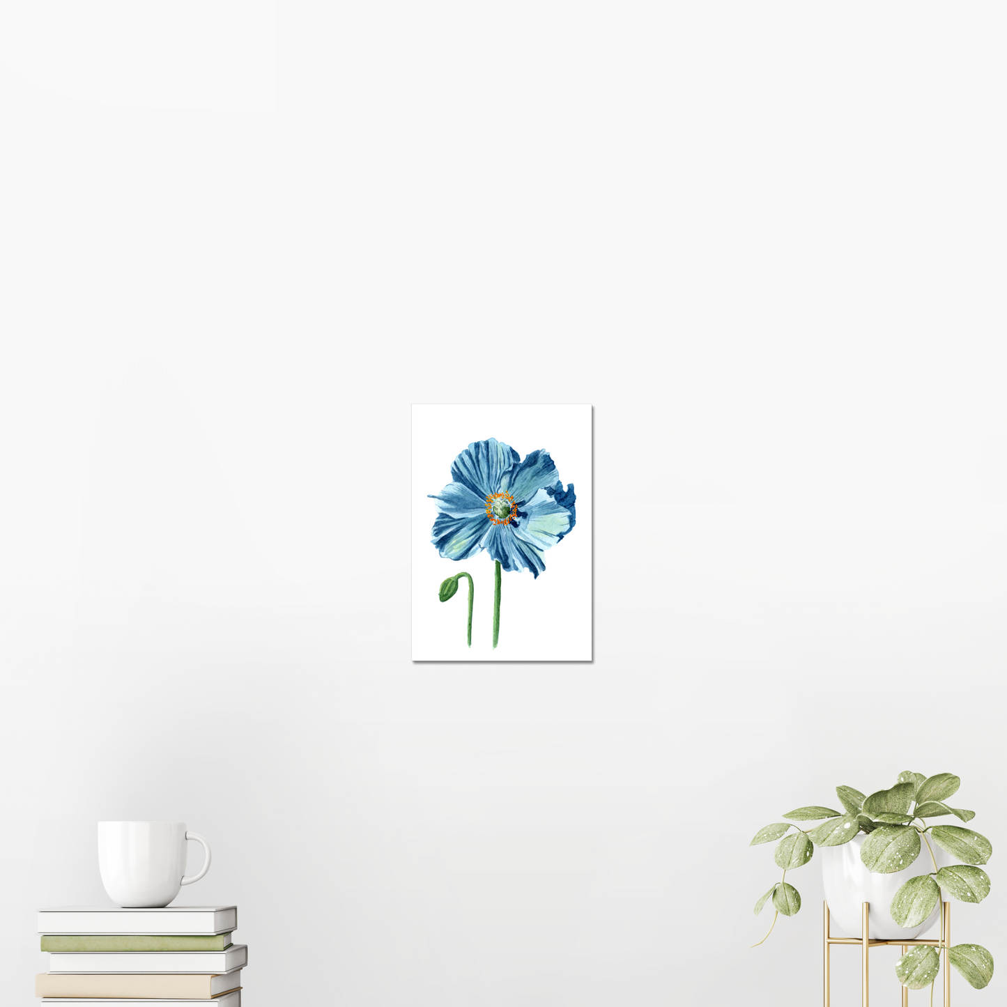 Blue Himalayan Poppy Giclée Art Print