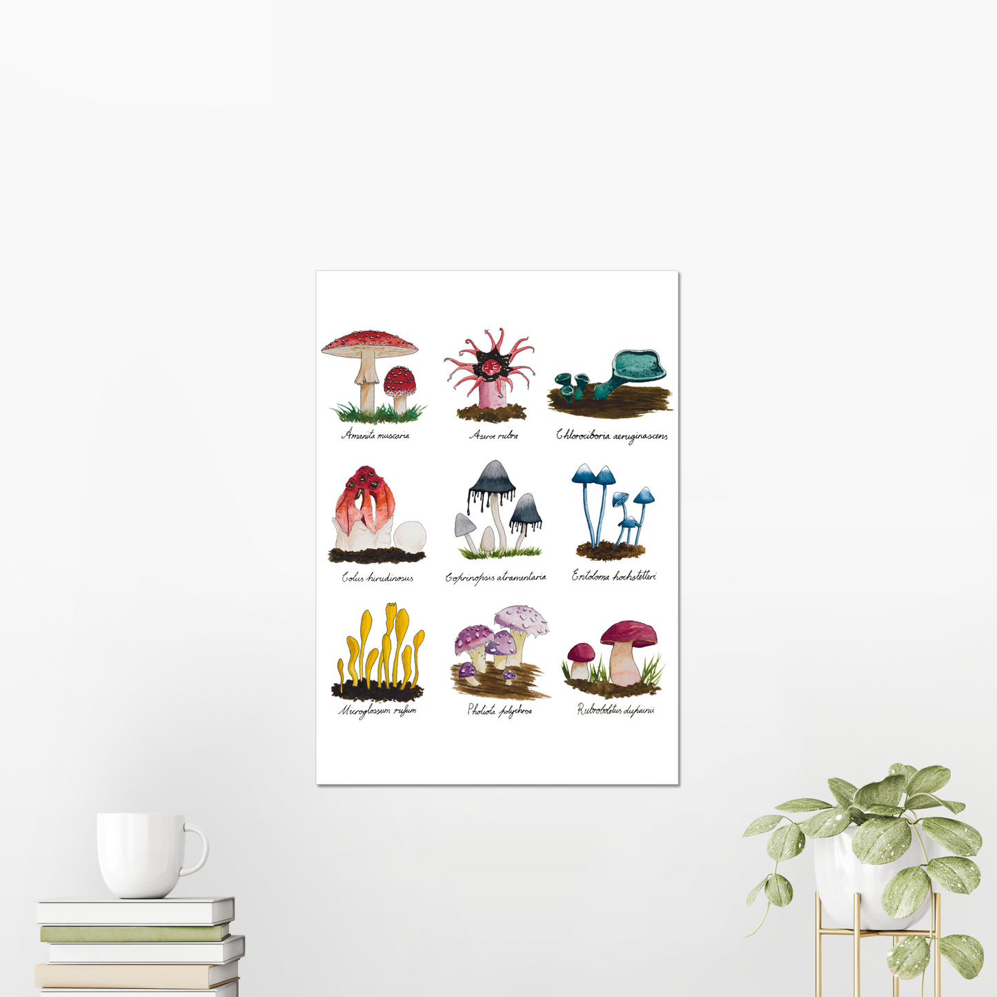 Funky Fungus Collection Giclée Art Print