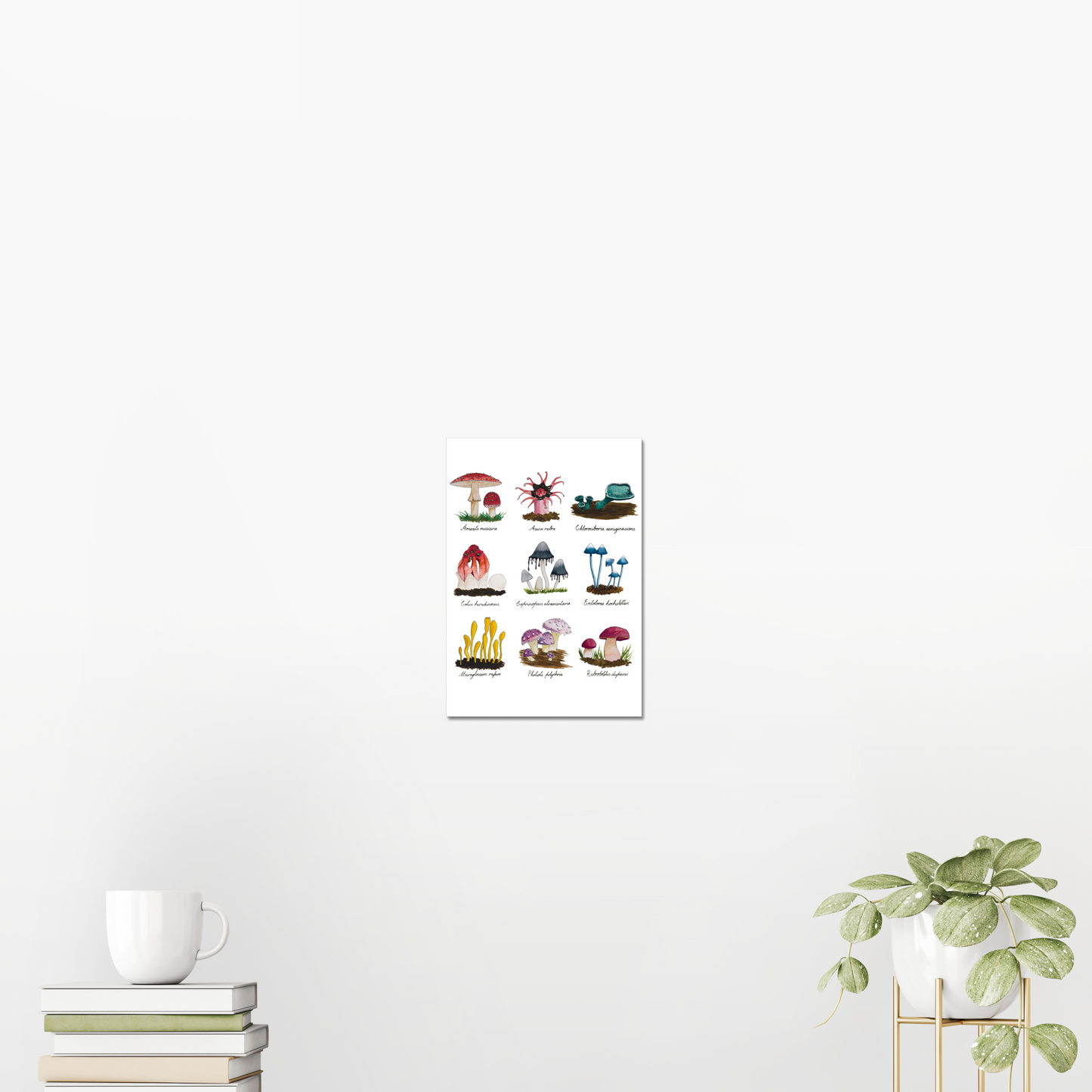 Funky Fungus Collection Giclée Art Print