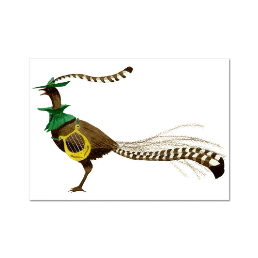 Bard Lyrebird Giclée Art Print