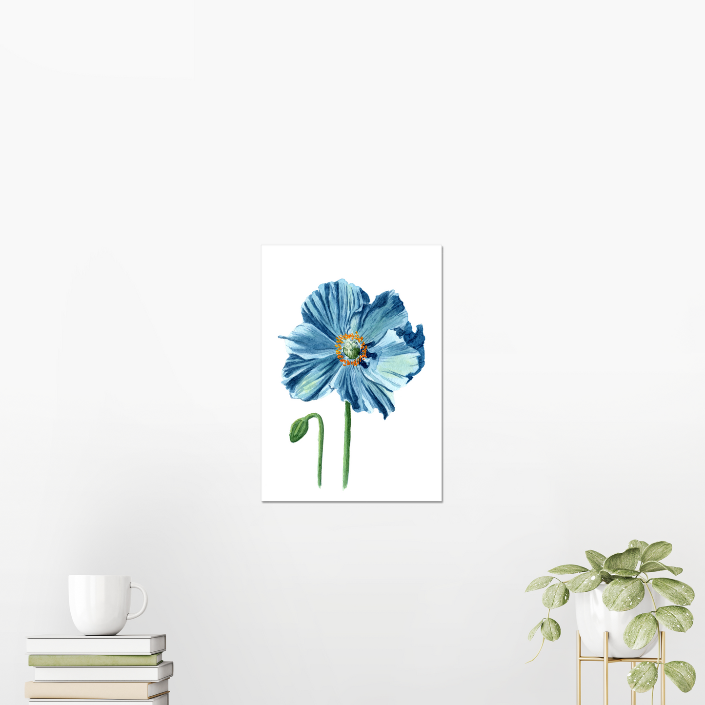 Blue Himalayan Poppy Giclée Art Print