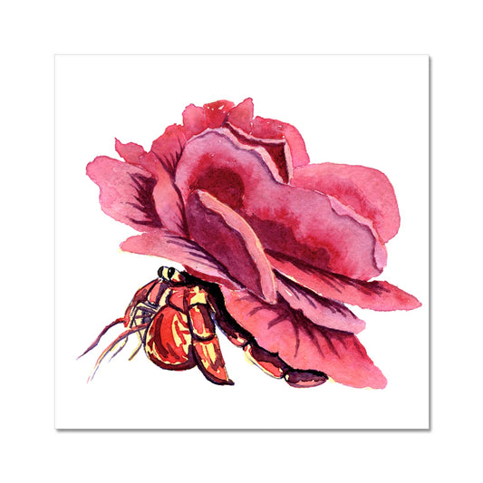 Rose Crab Giclée Art Print